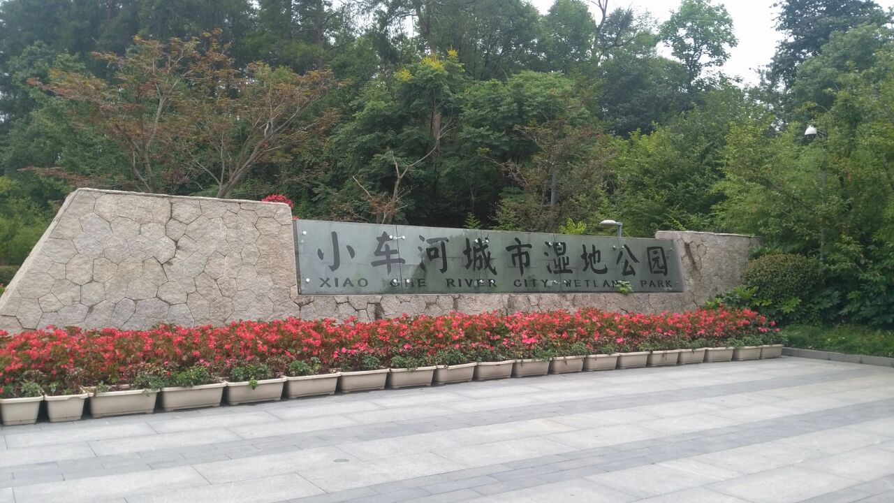 小车河湿地公园停车图片