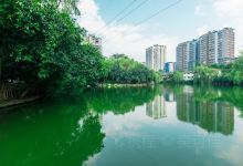 照母山位置图 10050j000000aph3x51B2_D_220_150.jpg?v=20190425_17_15