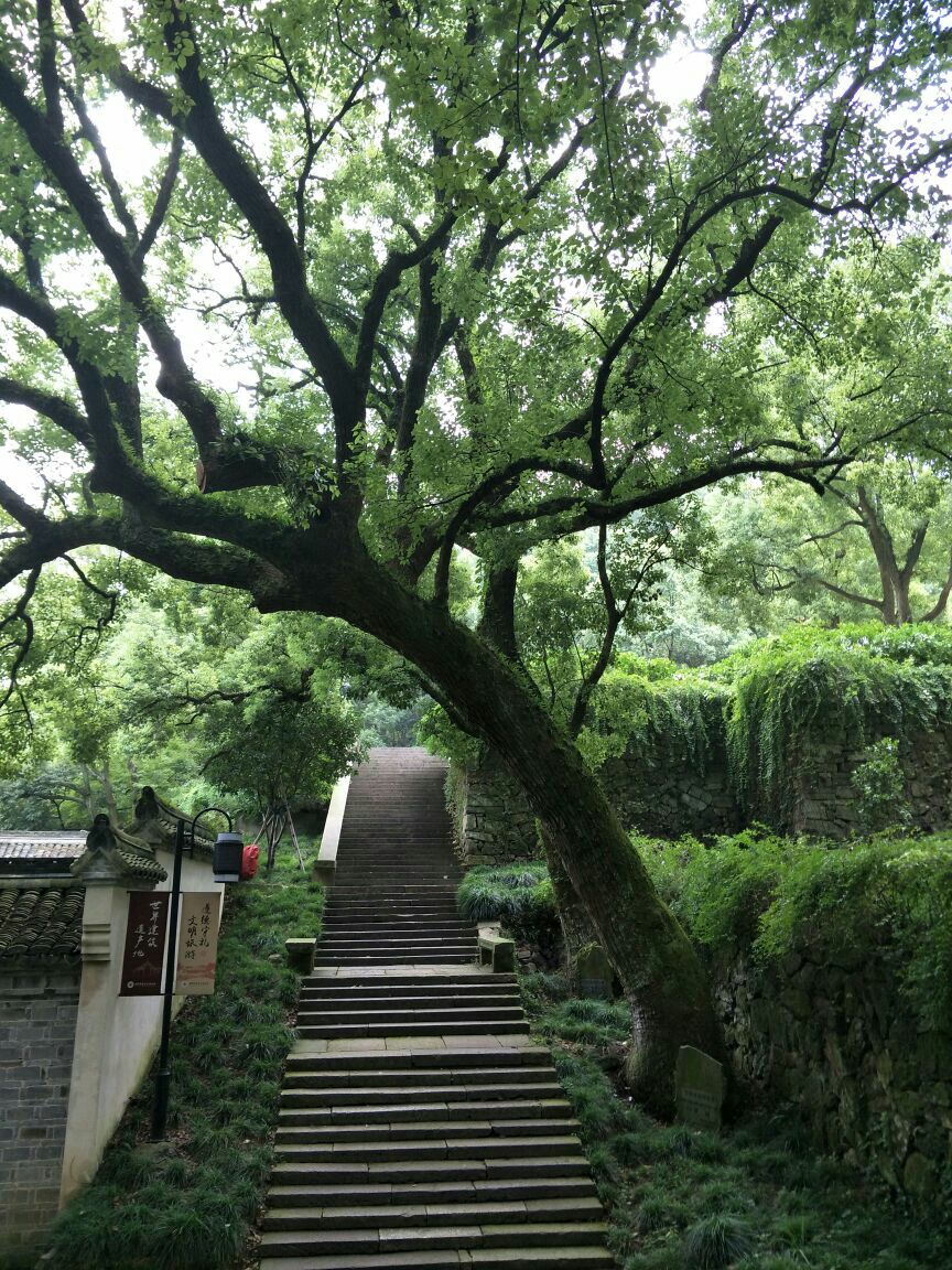 2018保国寺古建筑博物馆_旅游攻略_门票_地址_游记点评,宁波旅游景点