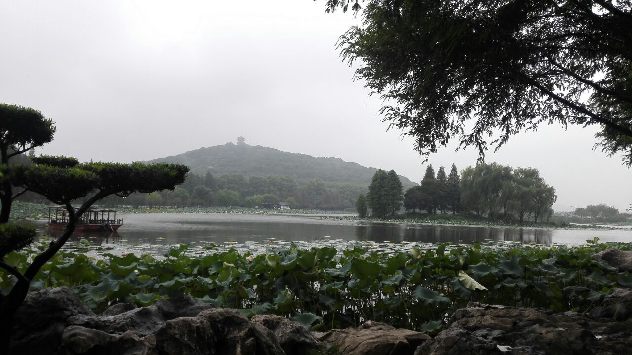 2019充山隐秀游玩攻略,从鼋头渚景区充山门进入后,. 【去哪儿攻略】