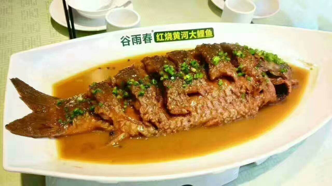 2019谷雨春红烧黄河大鲤鱼(紫荆山店)美食餐厅,名不虚传:比朋友说的