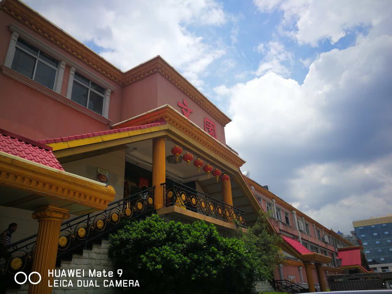 2019文园酒楼美食餐厅,口味不错,饮茶吃饭首选,环. 【去哪儿攻略】