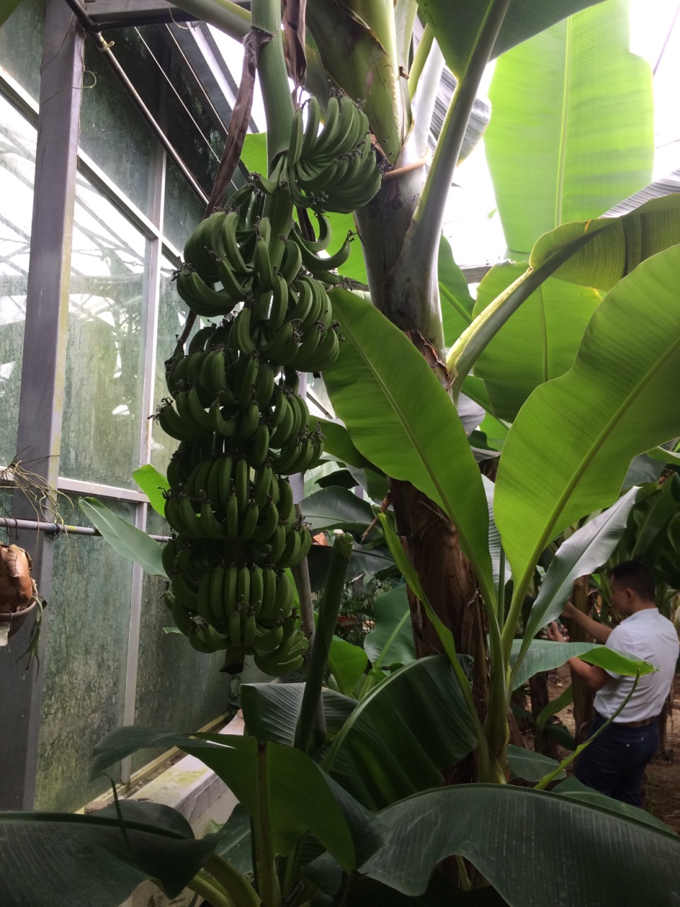 【携程攻略】宁波天宫庄园景点,面积挺大的,特别是热带植物园区搞得不