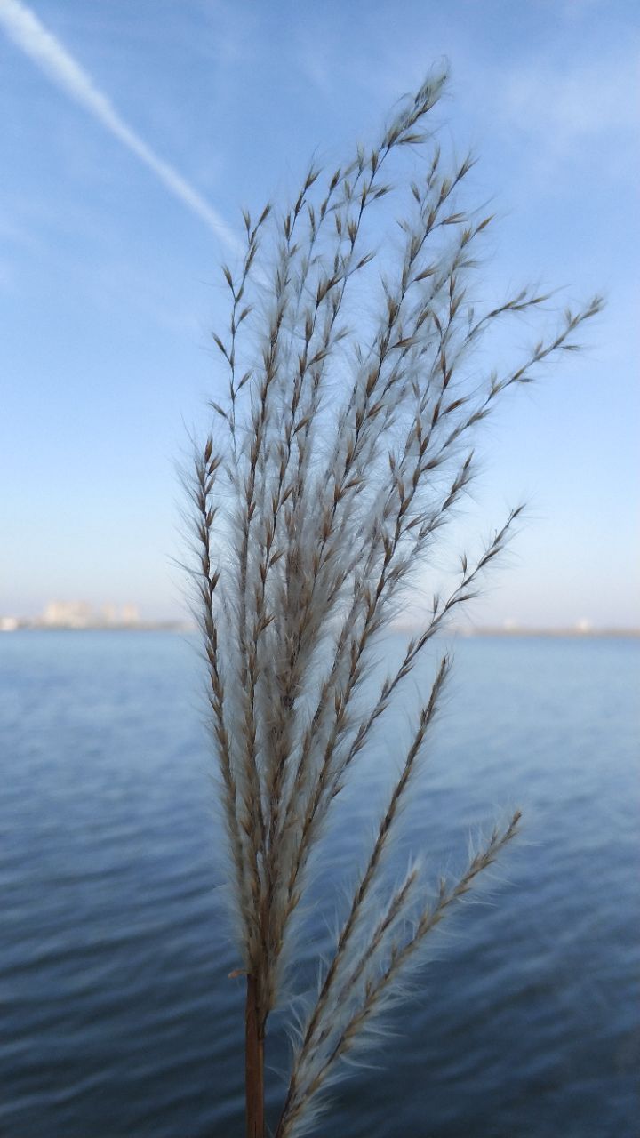 山勢起伏如巨龍騰雲駕霧,搖頭擺尾奔向湖中的珍珠島