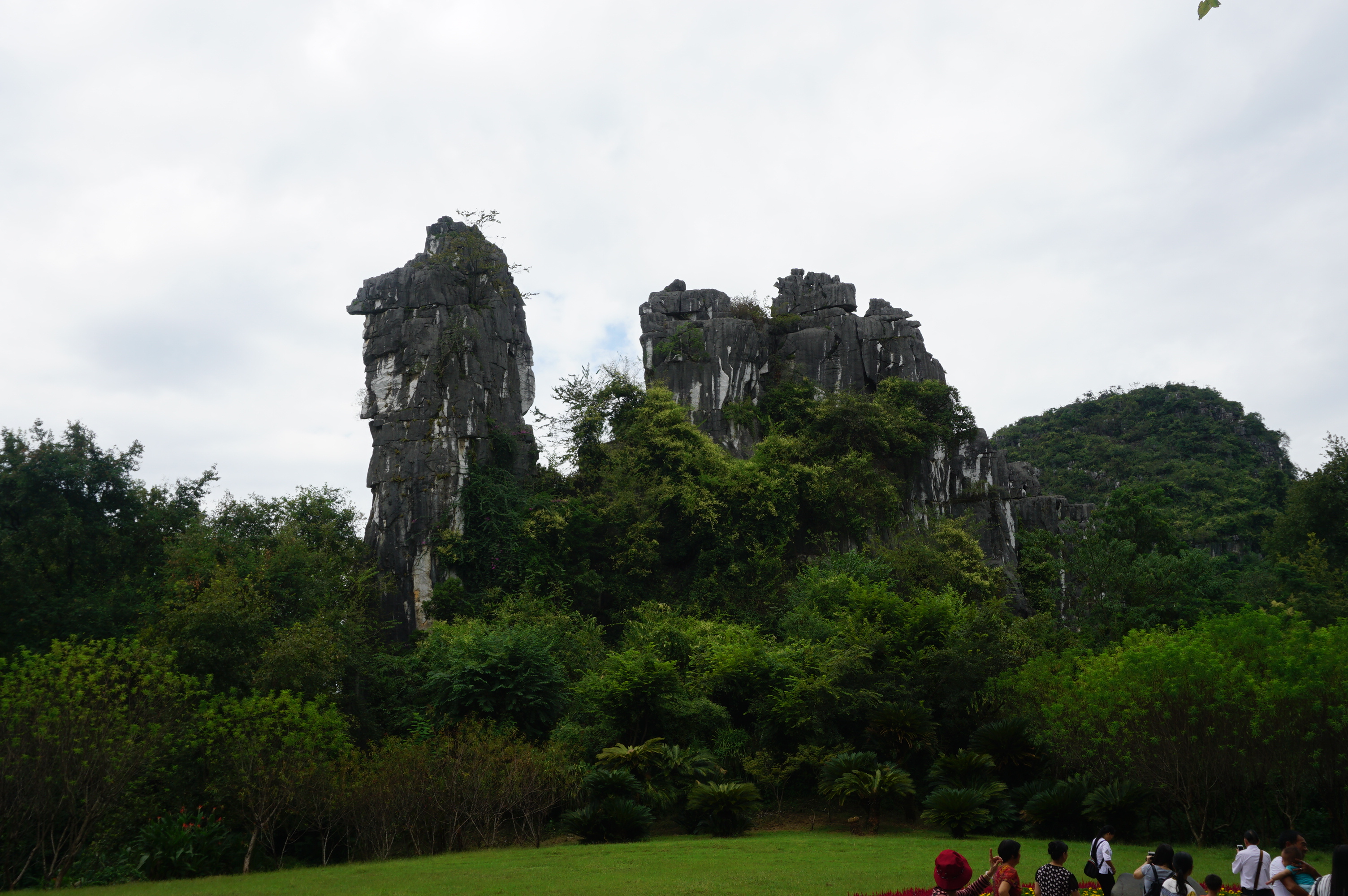 駱駝山