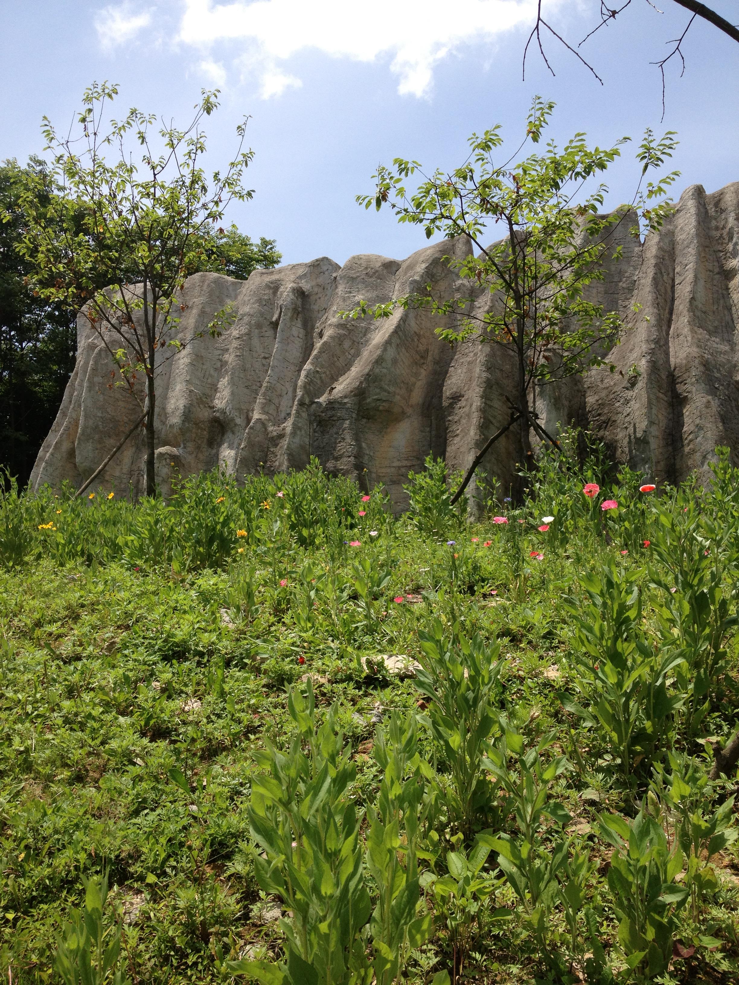 2023药王谷游玩攻略,2.风景还可以,清静冷幽,慢.【去哪儿攻略】