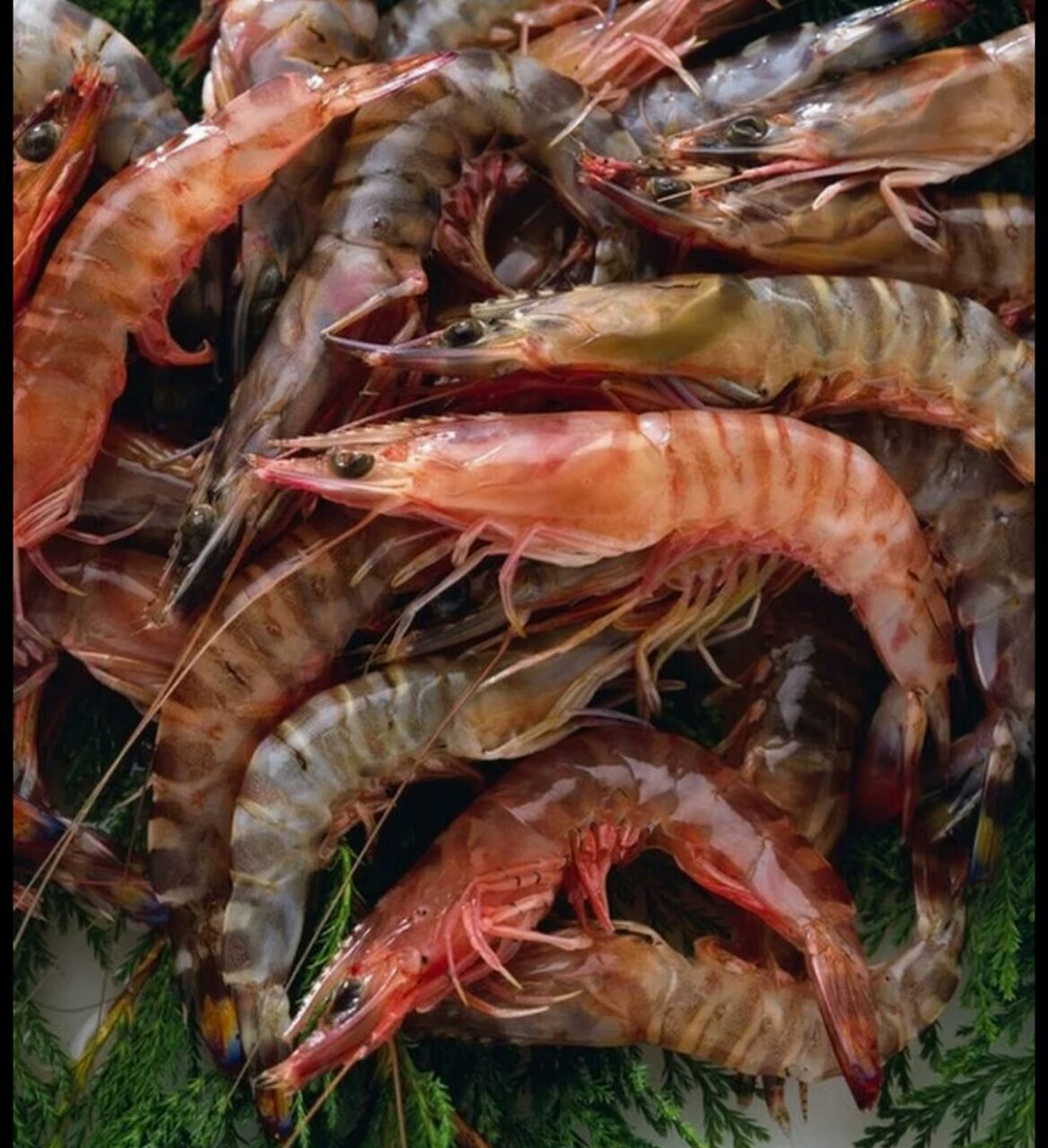 鉴定会",以鸡锤海参,桔子大虾,鲜贝原鲍和红鲷戏珠四道创新菜夺得银奖