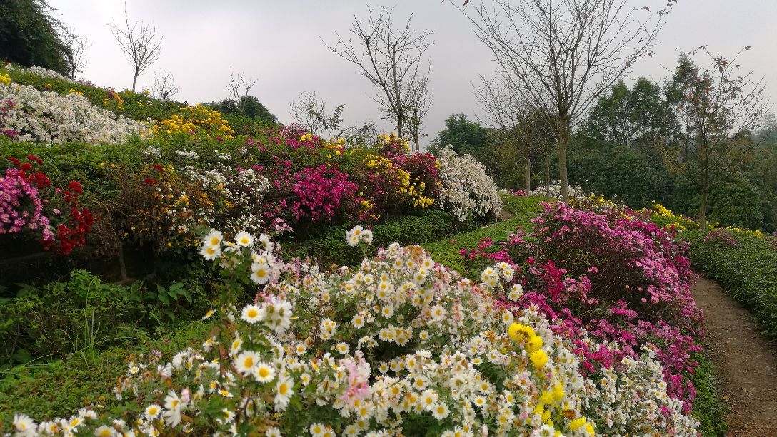 花舞人間旅遊景點攻略圖