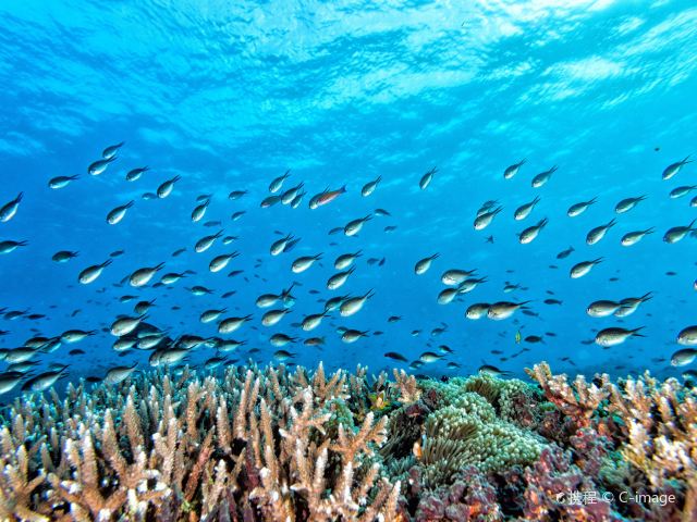 拉贾安帕特群岛