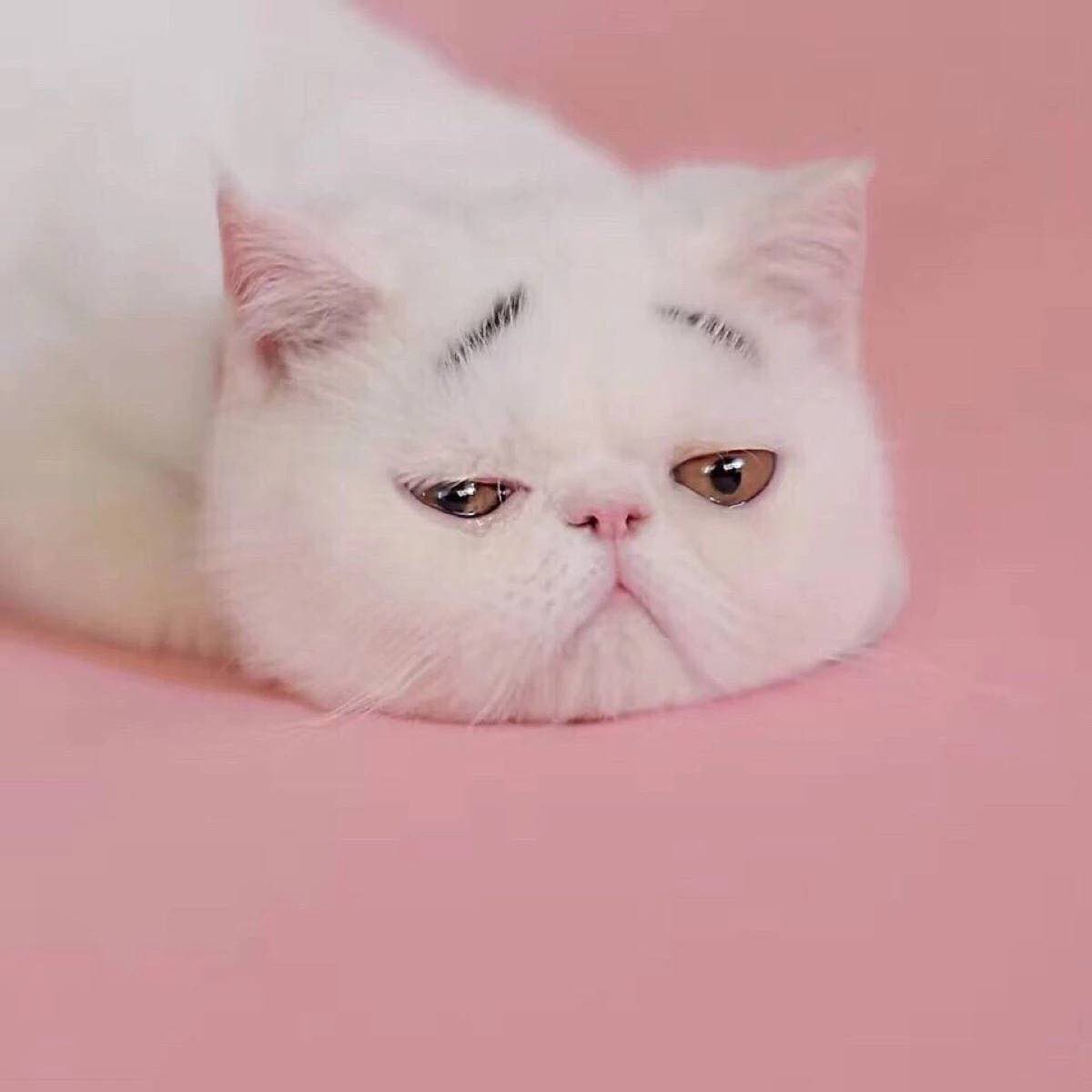 黑泷堂