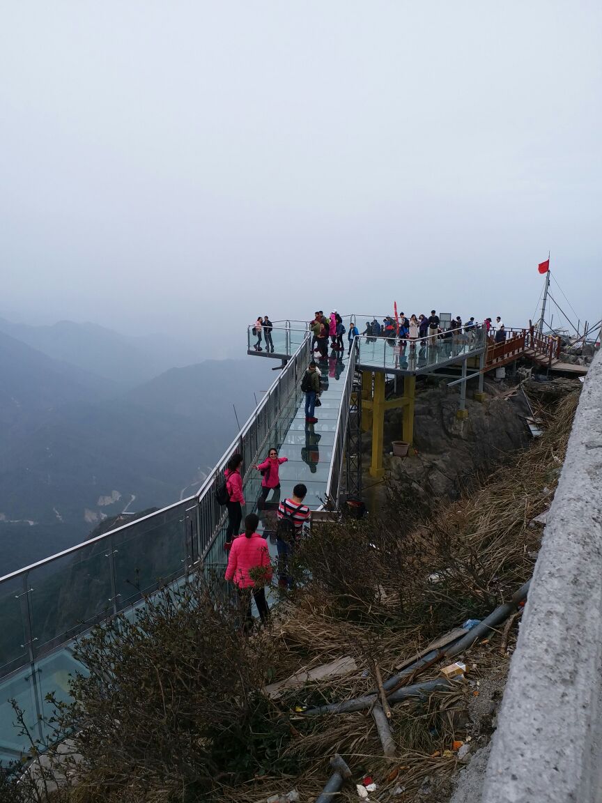 連山清遠金子山原生態旅遊風景區景點怎麼樣_點評_評價【攜程攻略】