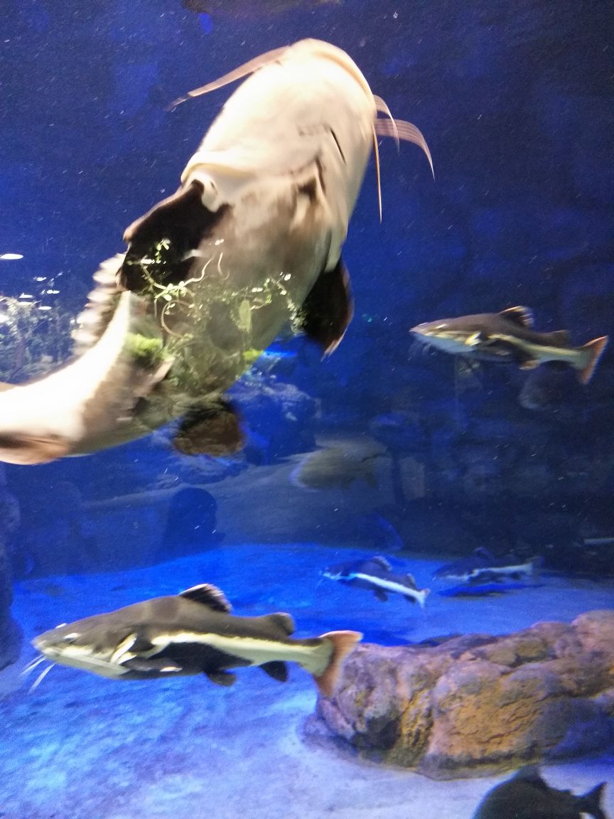 遵义海洋世界