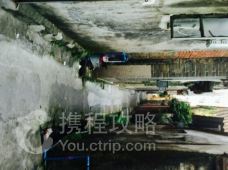 广州新塘公园附近景点推荐_新塘公园周边有什