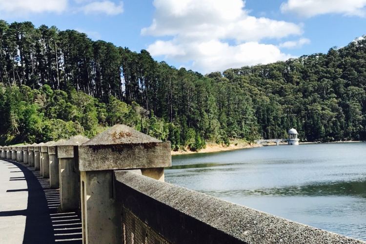 Maroondah Reservoir Park travel guidebook must visit attractions in