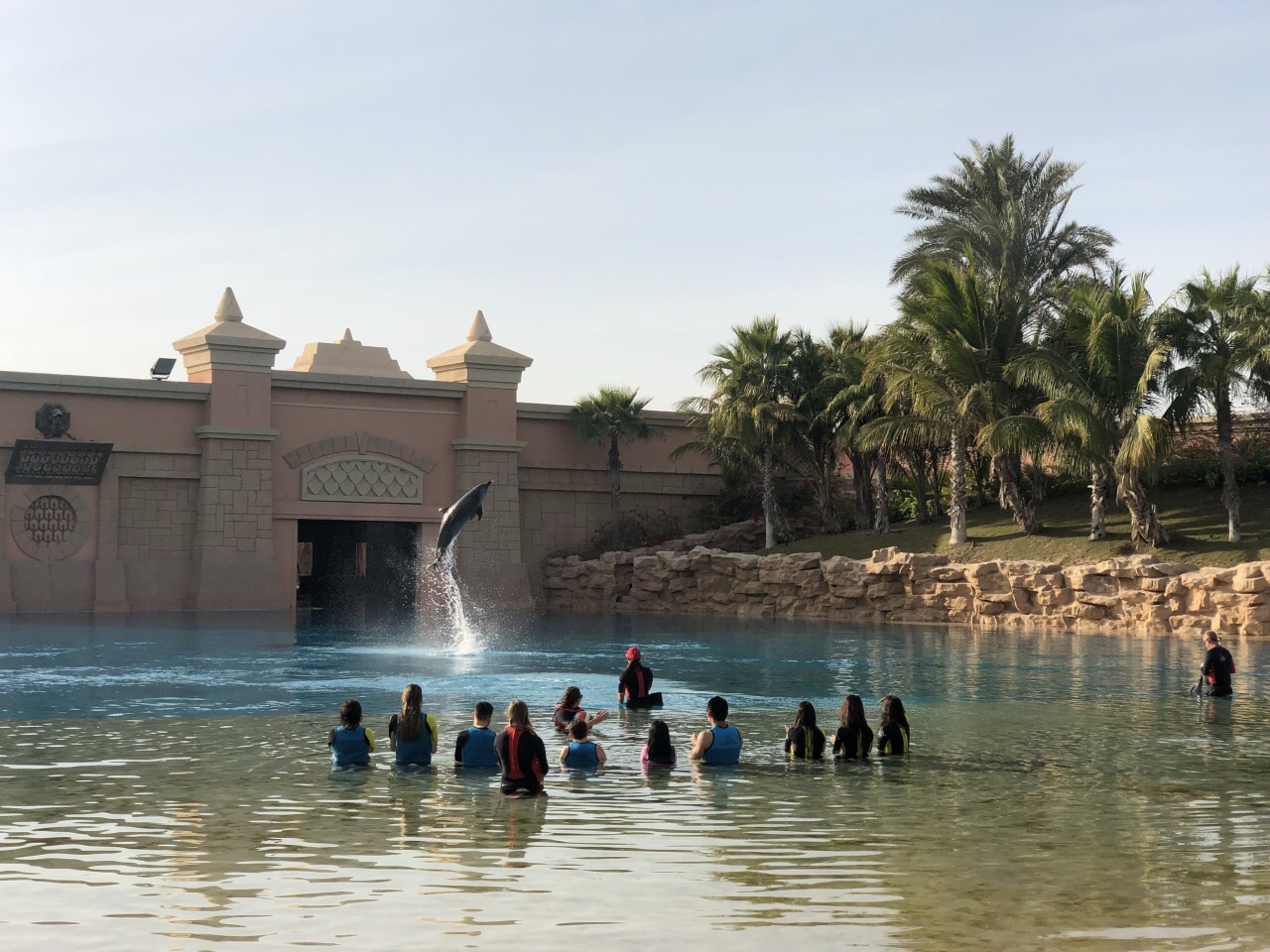 2022迪拜亚特兰蒂斯海豚湾游玩攻略,能与海豚亲密接触的地方,很