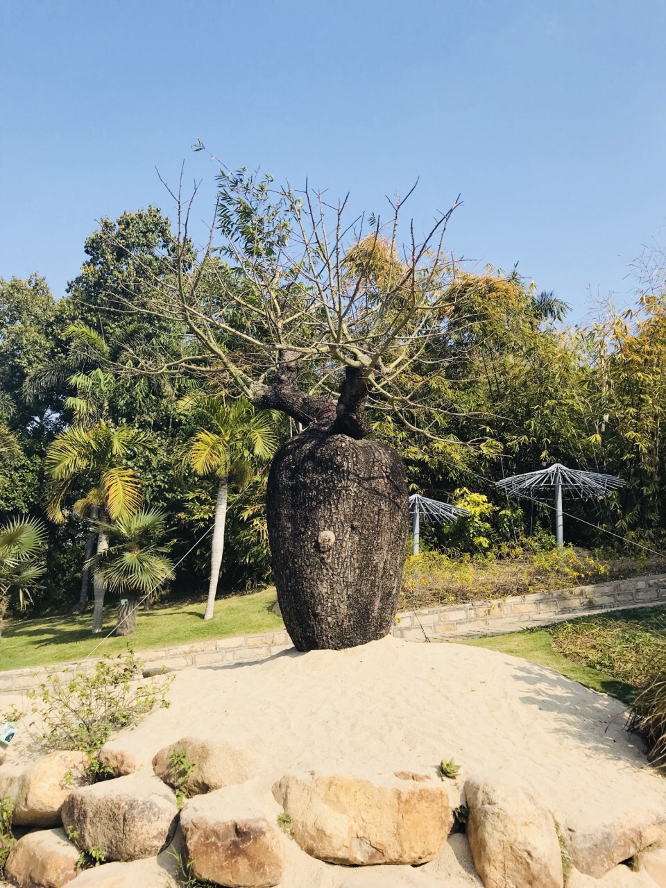 2019廈門園林植物園_旅遊攻略_門票_地址_遊記點評,廈門旅遊景點推薦