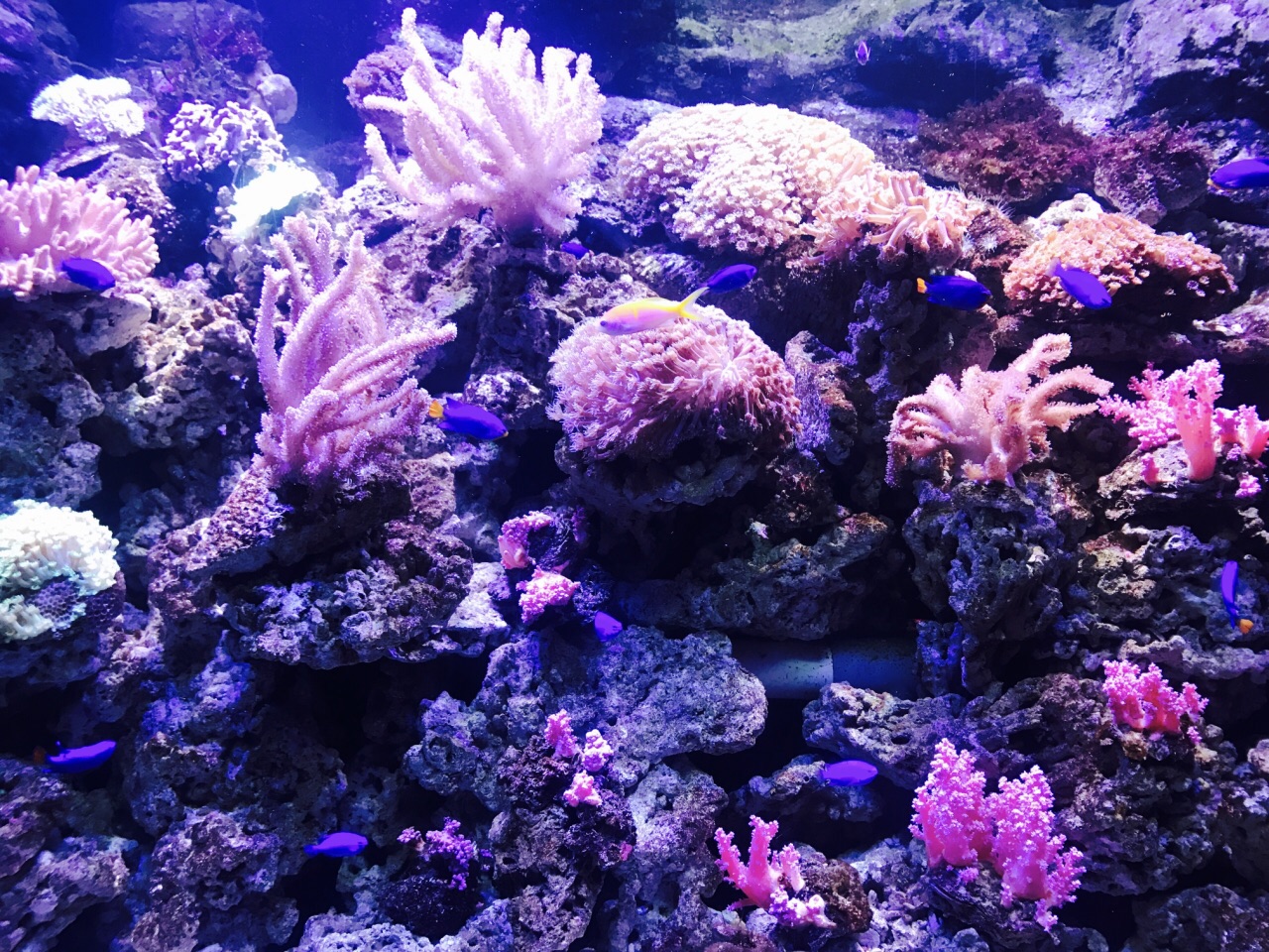 郑州海洋馆