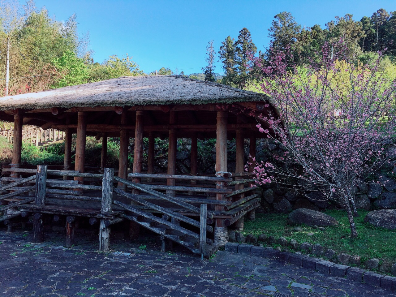 臺灣環西部跟團旅遊行程中安排遊覽阿里山風景區,大巴中途停靠阿里山