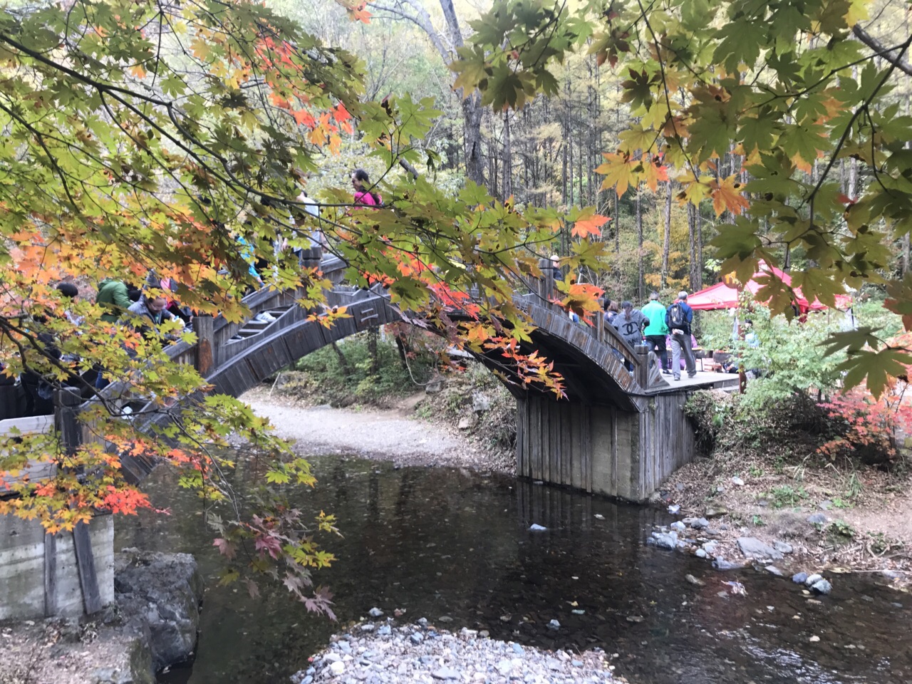 關門山國家森林公園旅遊景點攻略圖