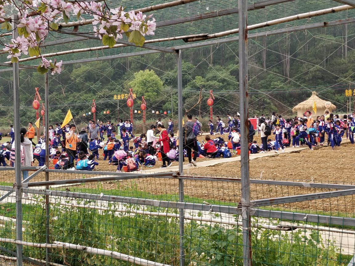 赤坭志惠农场图片