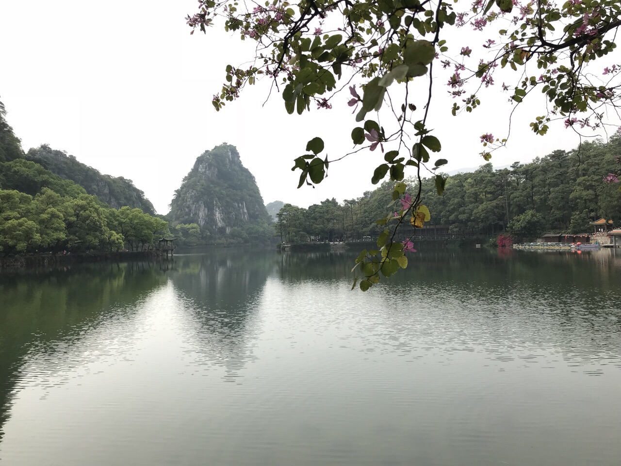 2019七星岩_旅游攻略_门票_地址_游记点评,肇庆旅游景点推荐 去哪儿