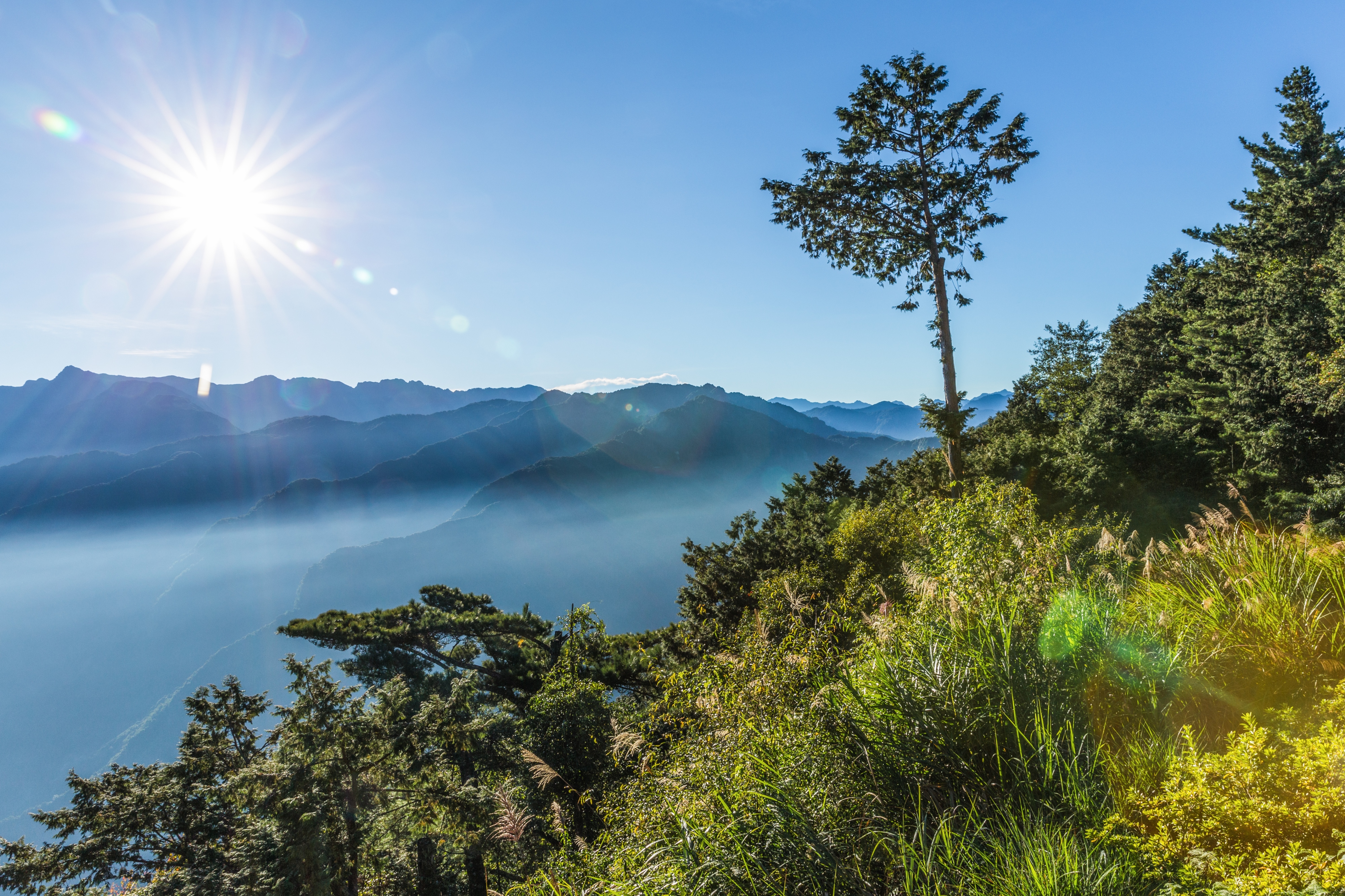 小笠原山