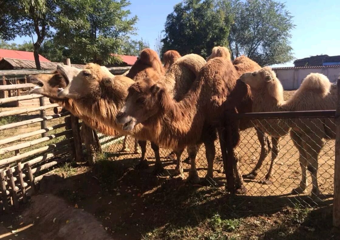 太原動物園