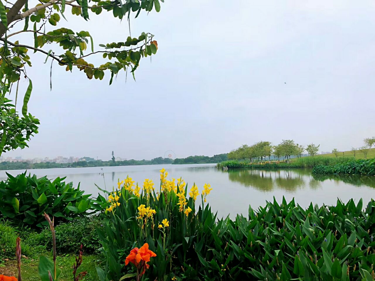 廣州白雲湖好玩嗎,廣州白雲湖景點怎麼樣_點評_評價【攜程攻略】