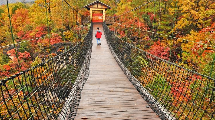 保康九路寨生态旅游区游玩攻略-九路寨生态旅游区门票多少钱/价格表