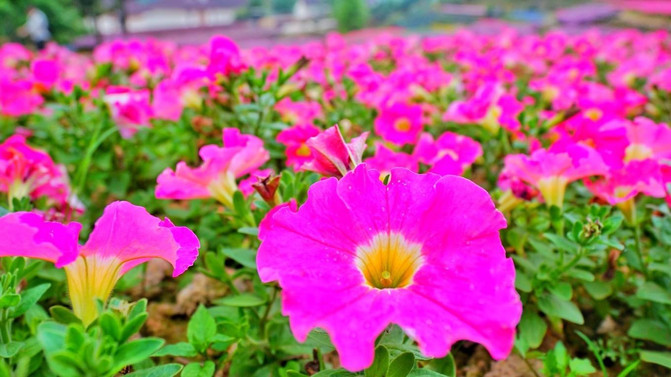 10050s000000hk2it4CF2_R_671_10000_Q90.jpg