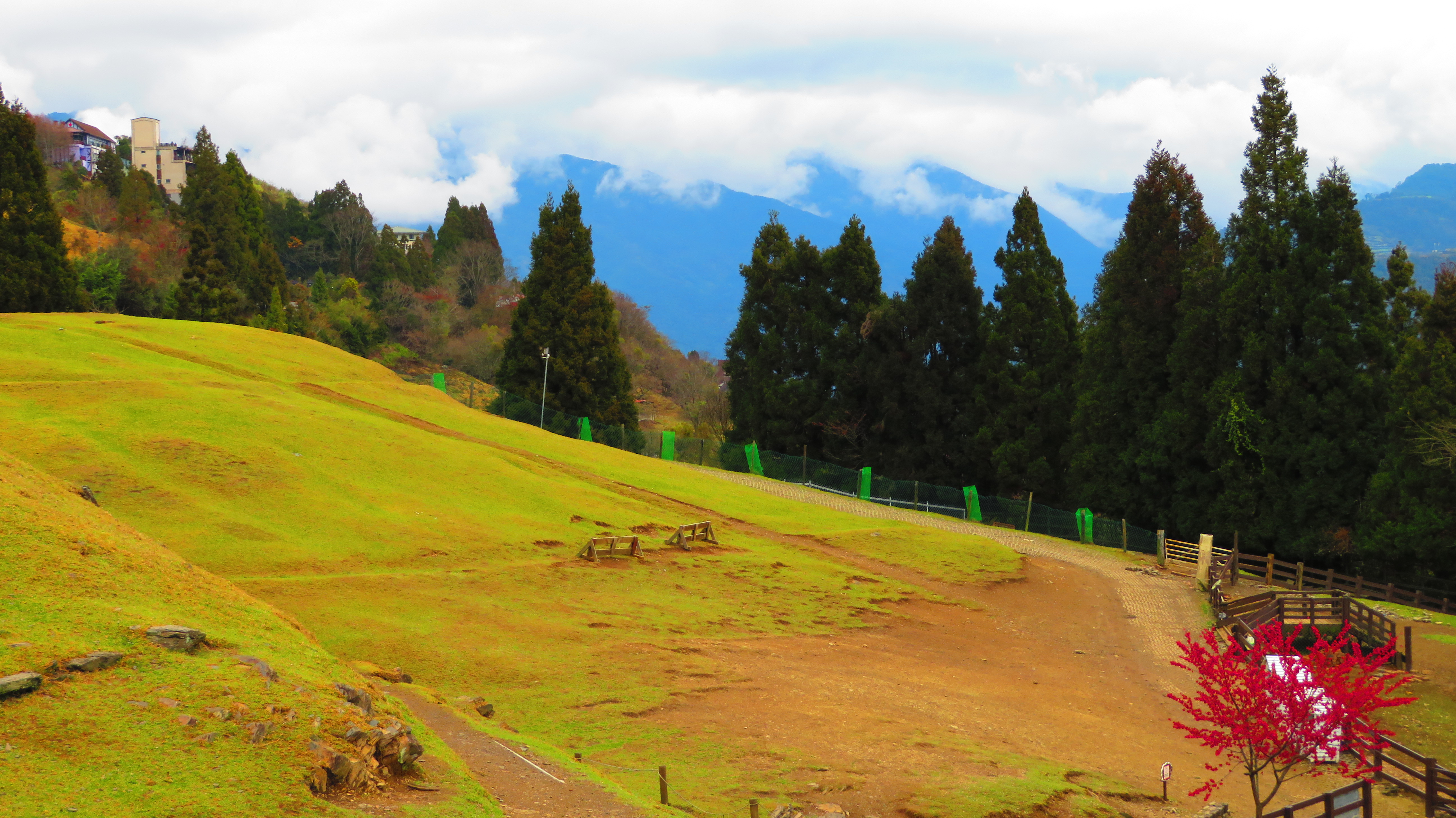【携程攻略】南投青青草原适合家庭亲子旅游吗,青青草原家庭亲子景点