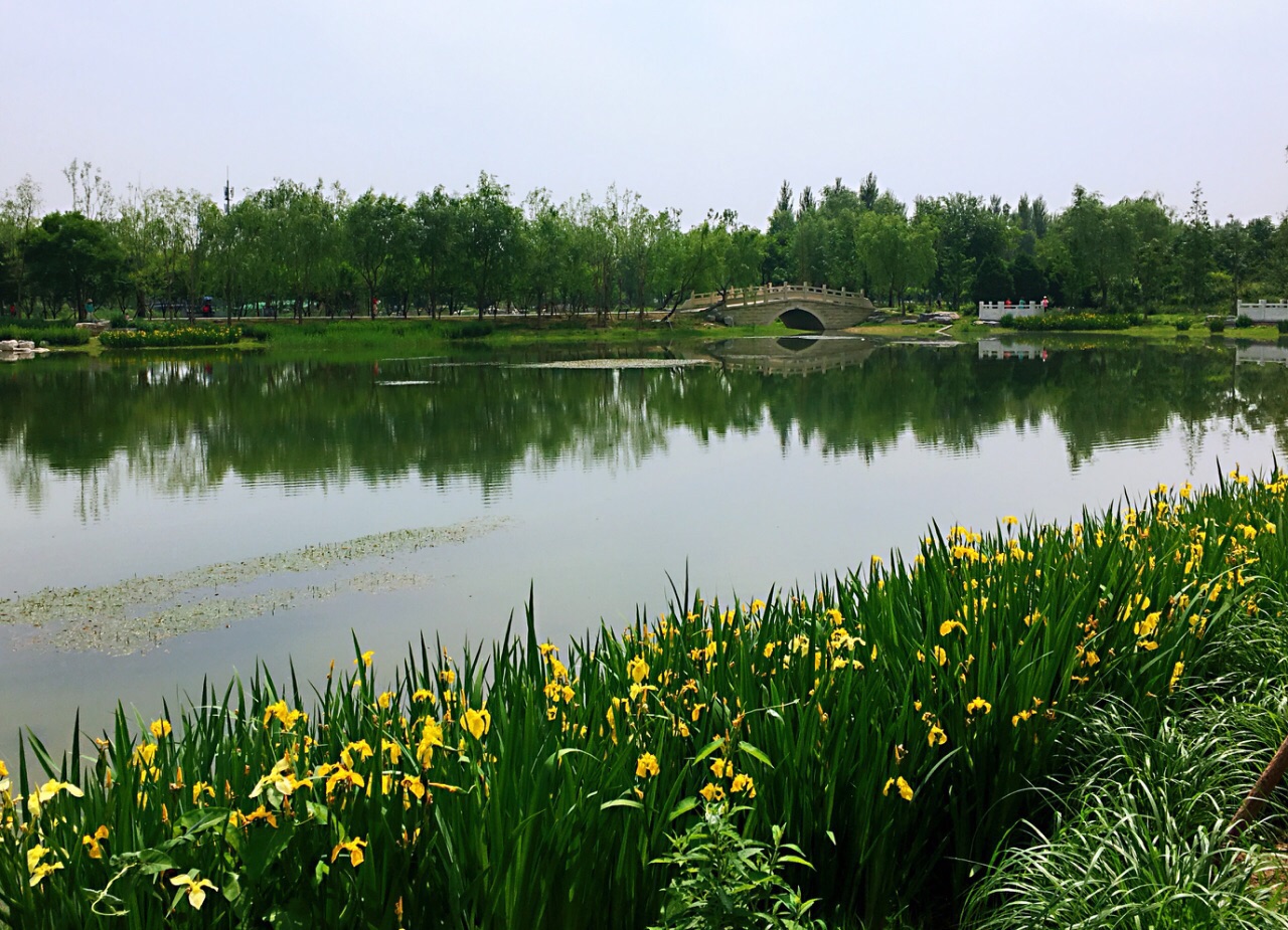 2023广富林郊野公园游玩攻略,广富林郊野公园是上海几大郊...【去哪儿攻略】