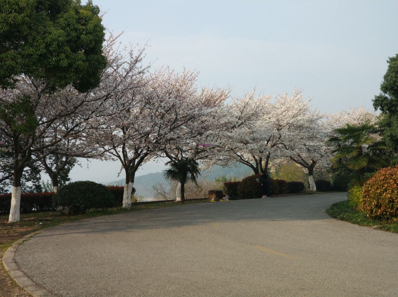 【携程美食林】无锡红沙湾生态园餐馆,无锡市区开过去还是很远的.