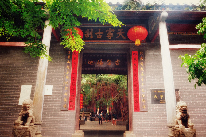 湛江市雷州市各乡镇GDP_雷州市地图