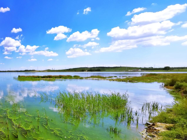 康巴诺尔湖湿地公园位于河北省康保县县城南缘,四面环山,是塞外一处离