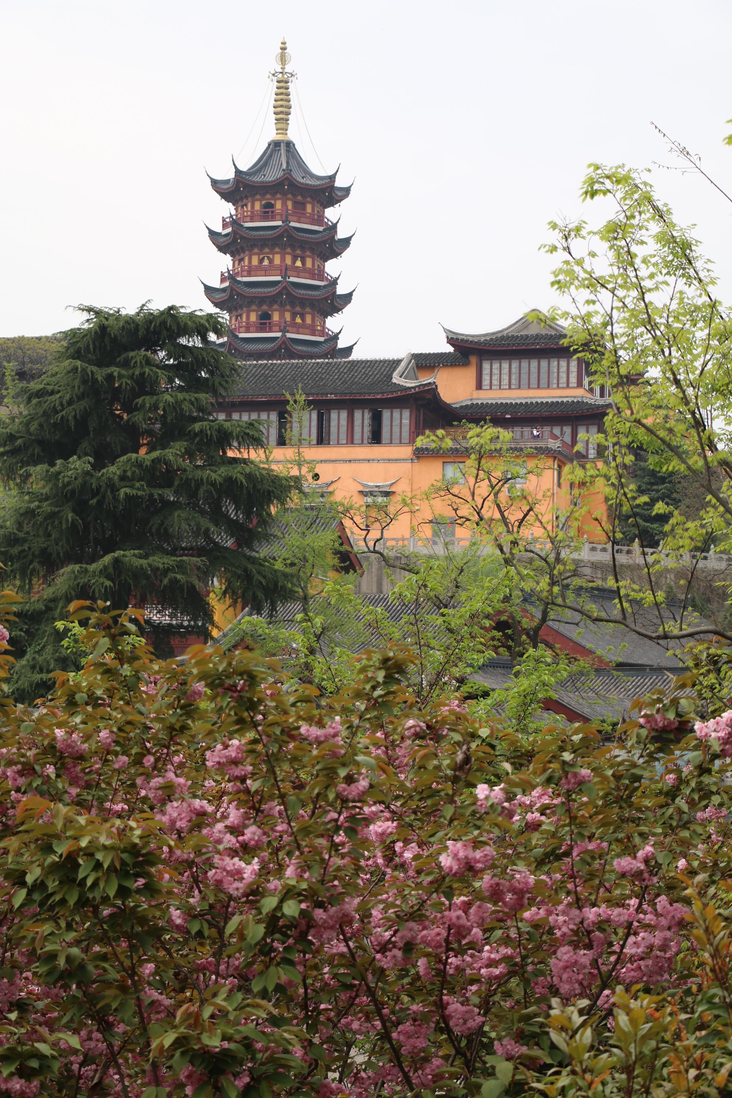 鸡鸣寺