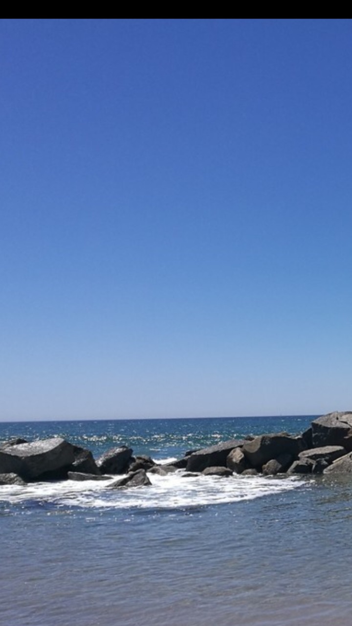 威尼斯海滩venice beach