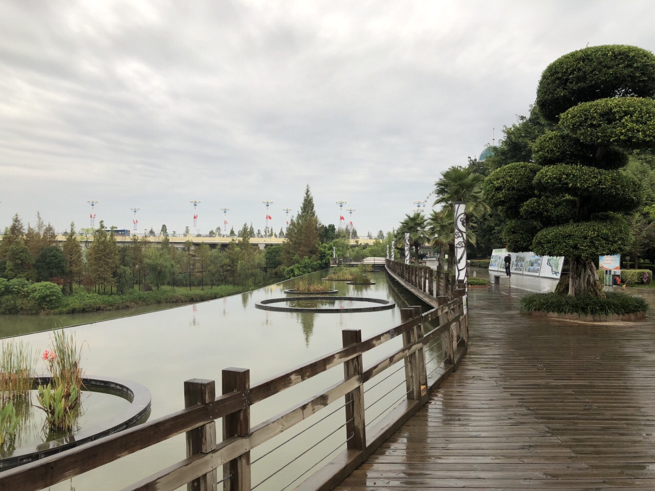 2023九龙湖湿地公园游玩攻略,九龙湖水位长年稳定，与周围...【去哪儿攻略】