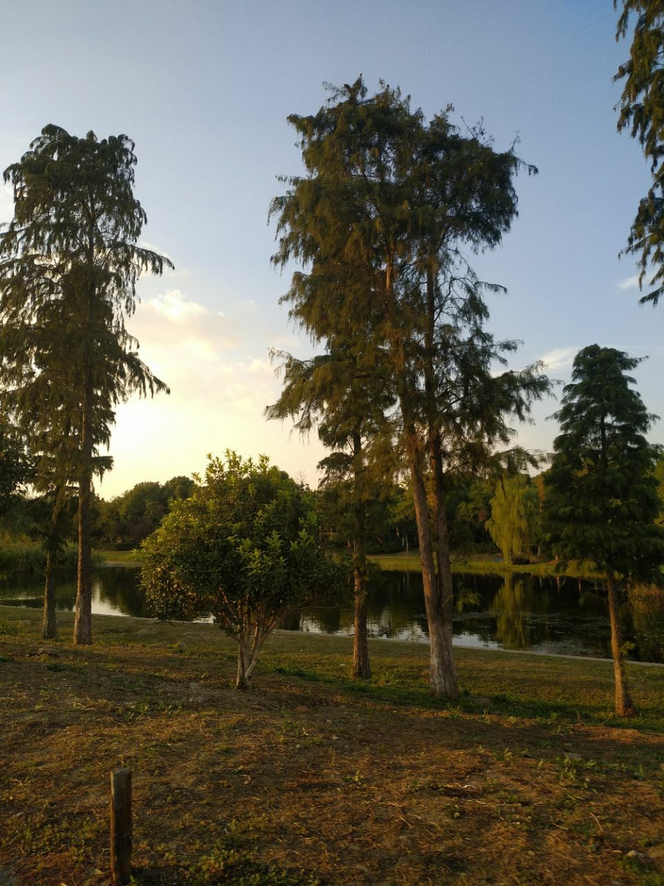 马屎洲特别地区