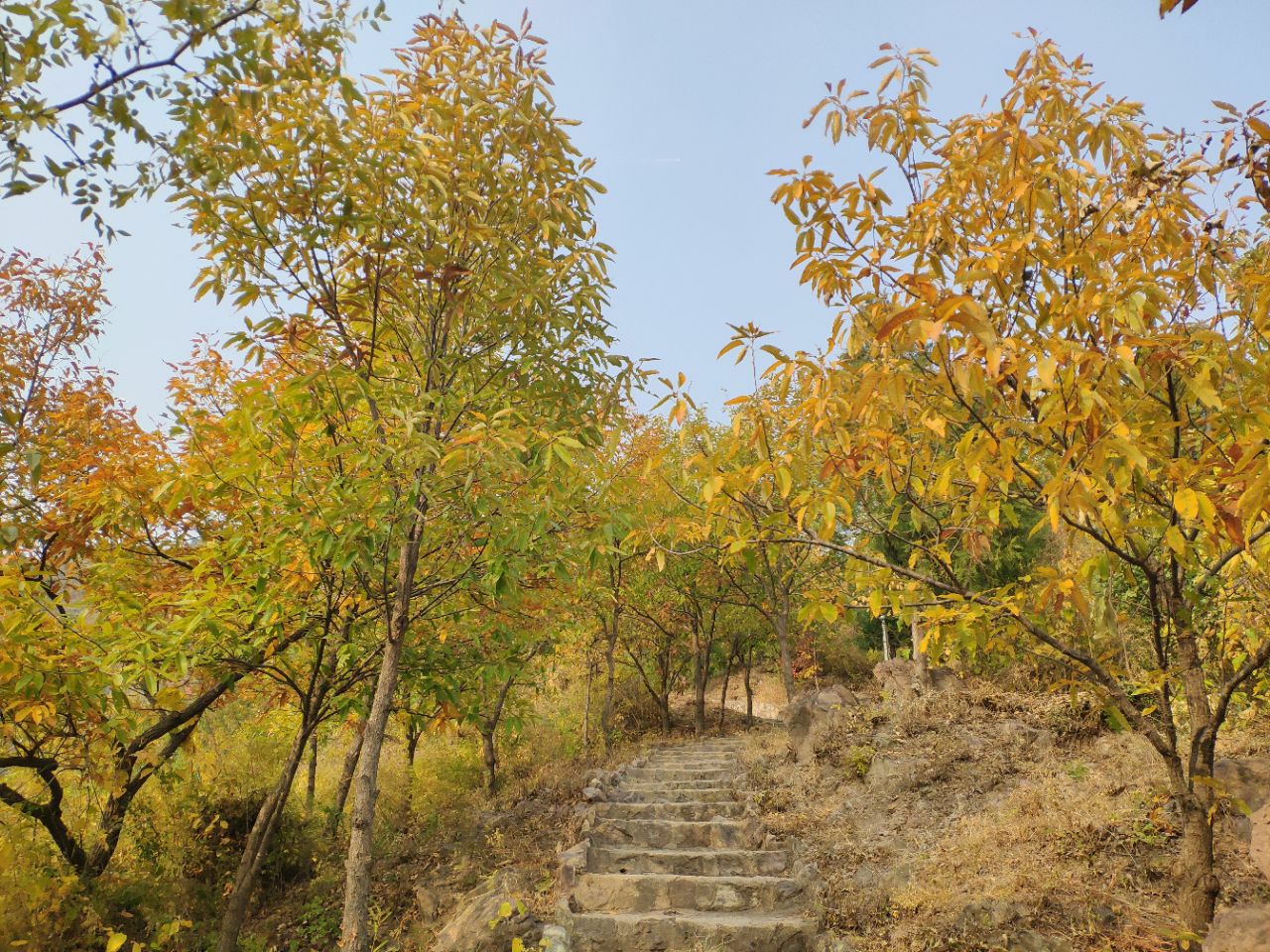 【北京蟒山森林公园秋色斑斓摄影图片】风光摄影_Tom 老道_太平洋电脑网摄影部落