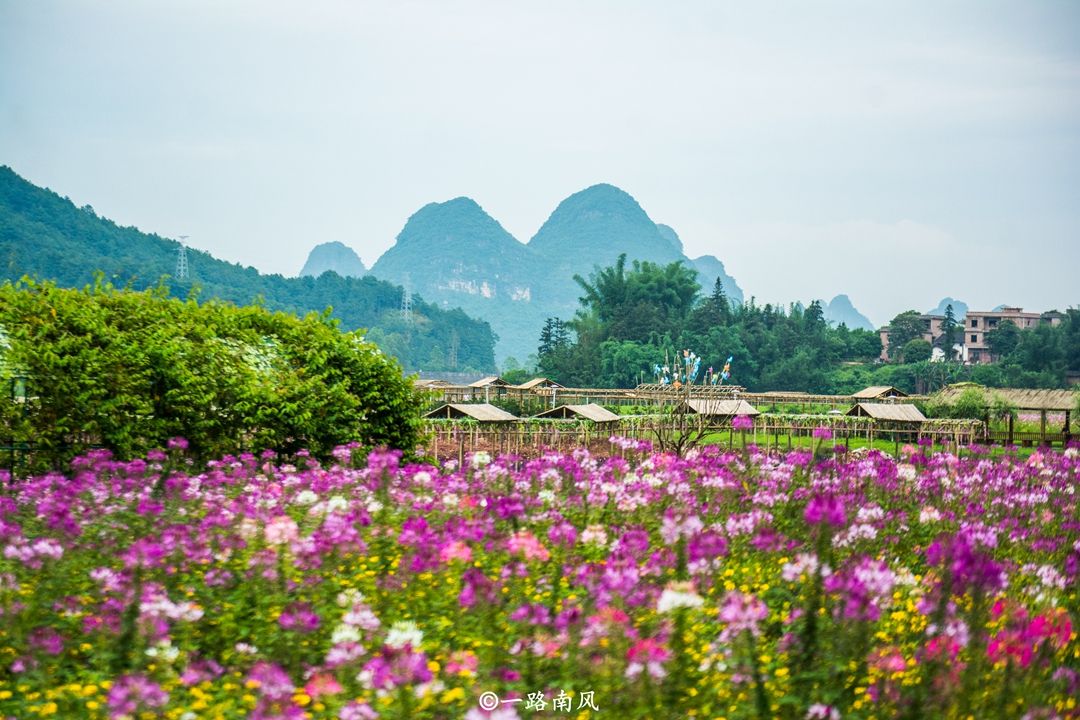 黄姚仙女湖花海