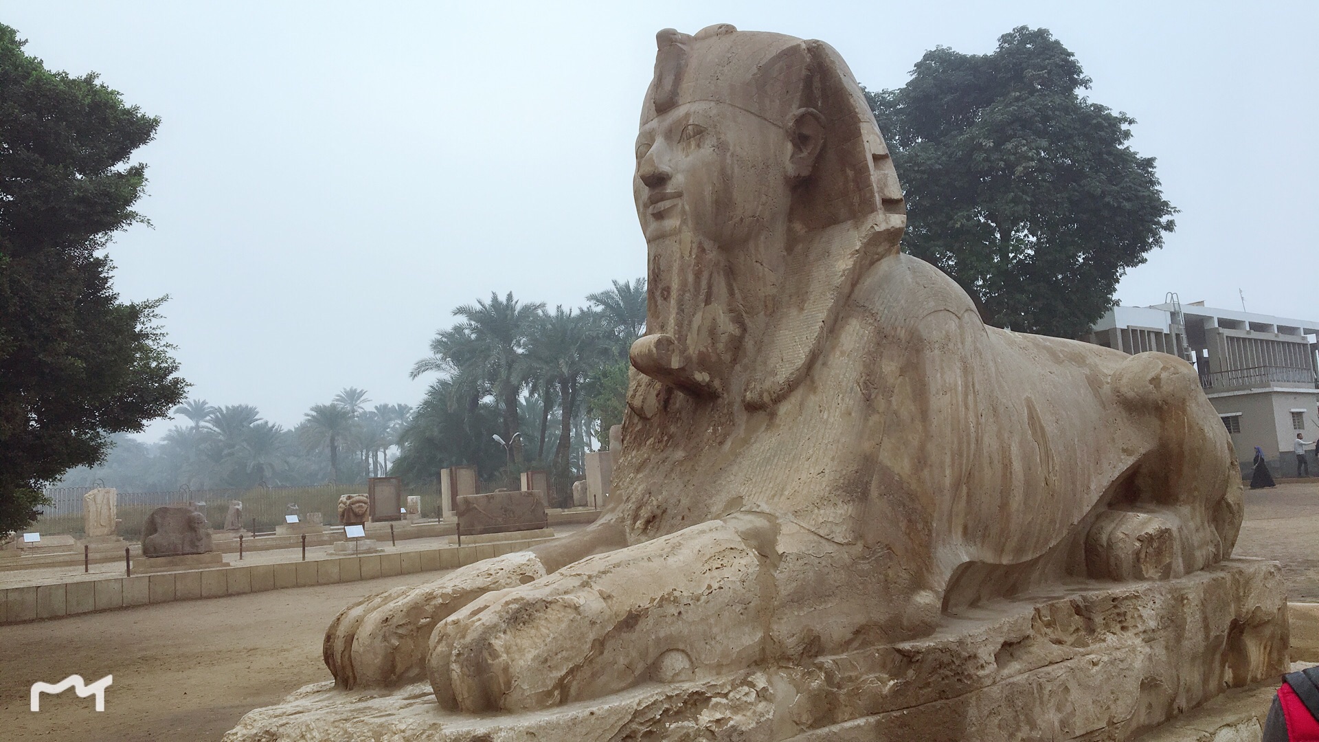 2021孟菲斯博物馆-旅游攻略-门票-地址-问答-游记点评，开罗旅游旅游景点推荐-去哪儿攻略