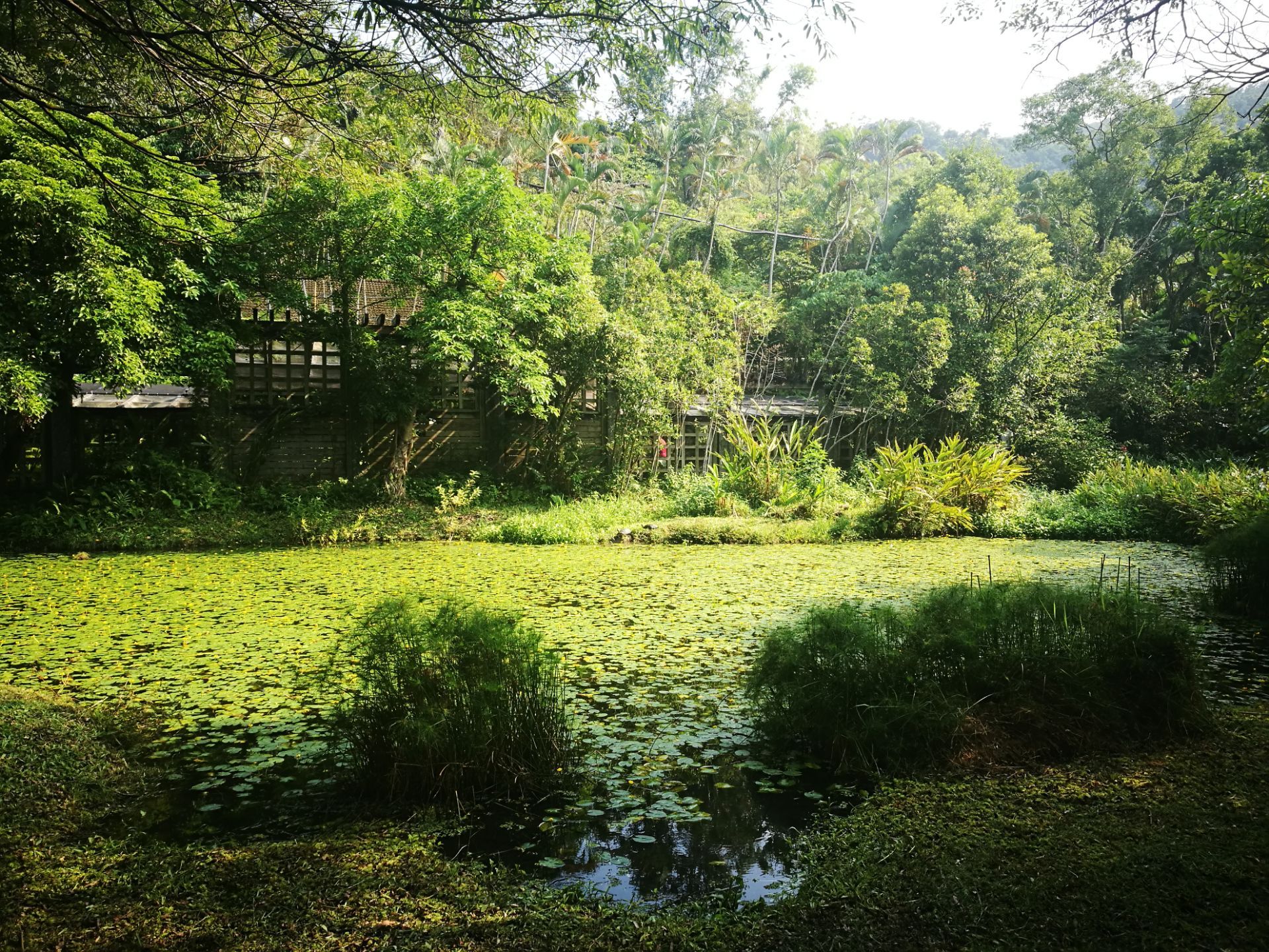富阳自然生态公园图片