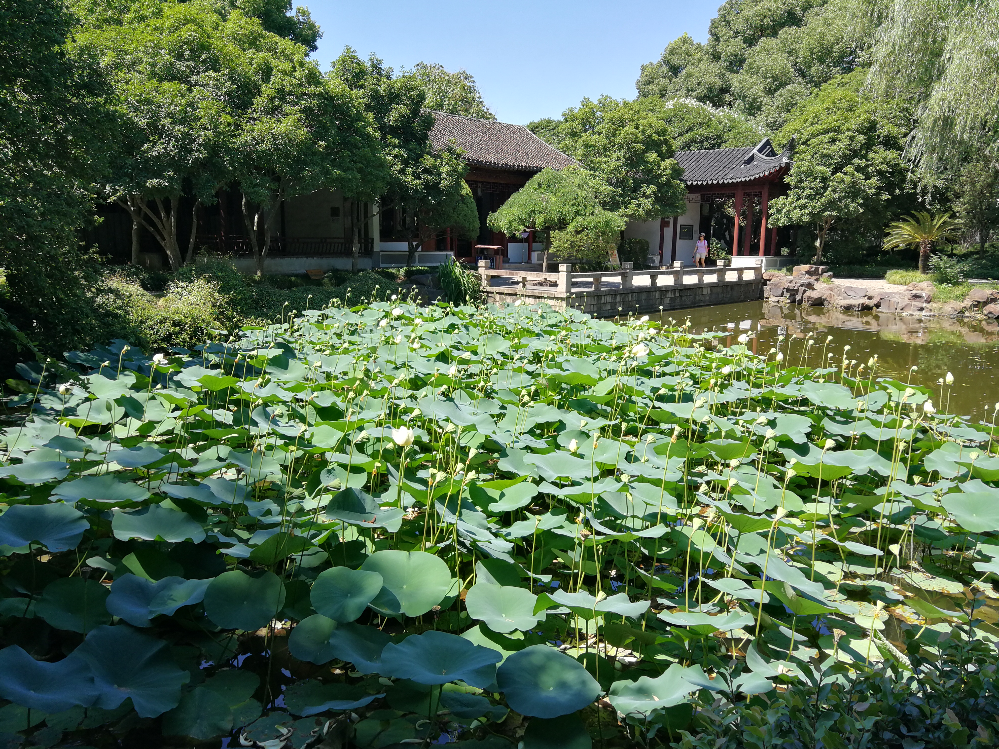 上海旅遊景點推薦 - 去哪兒攻略社區