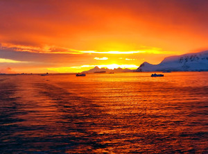 南极洲游记图文-跟纵横拉美走南极二船游冰海与登岛探秘散记（图）