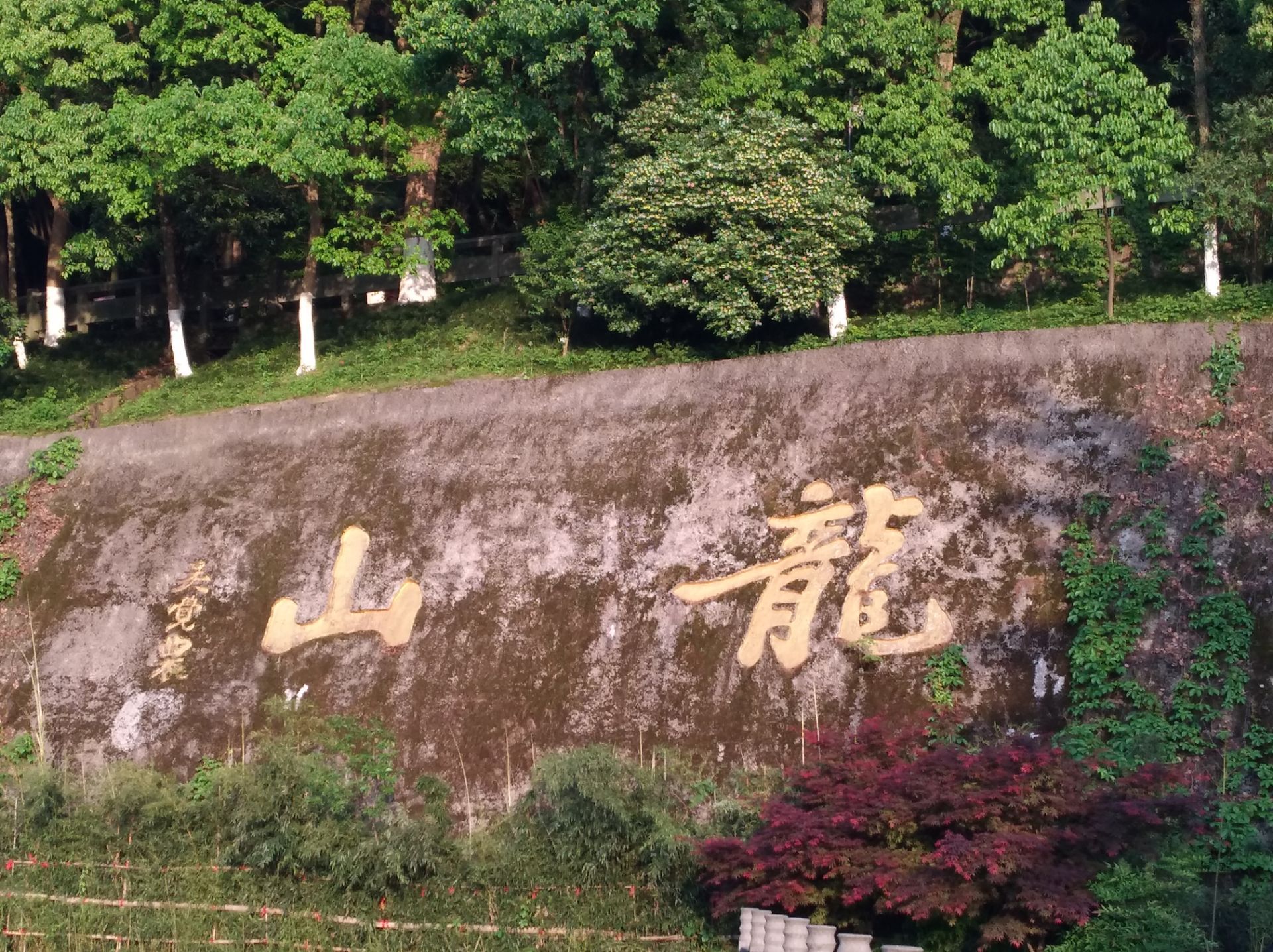 2023广州二龙山花园游玩攻略,好美的风景！来二龙山花园游...【去哪儿攻略】