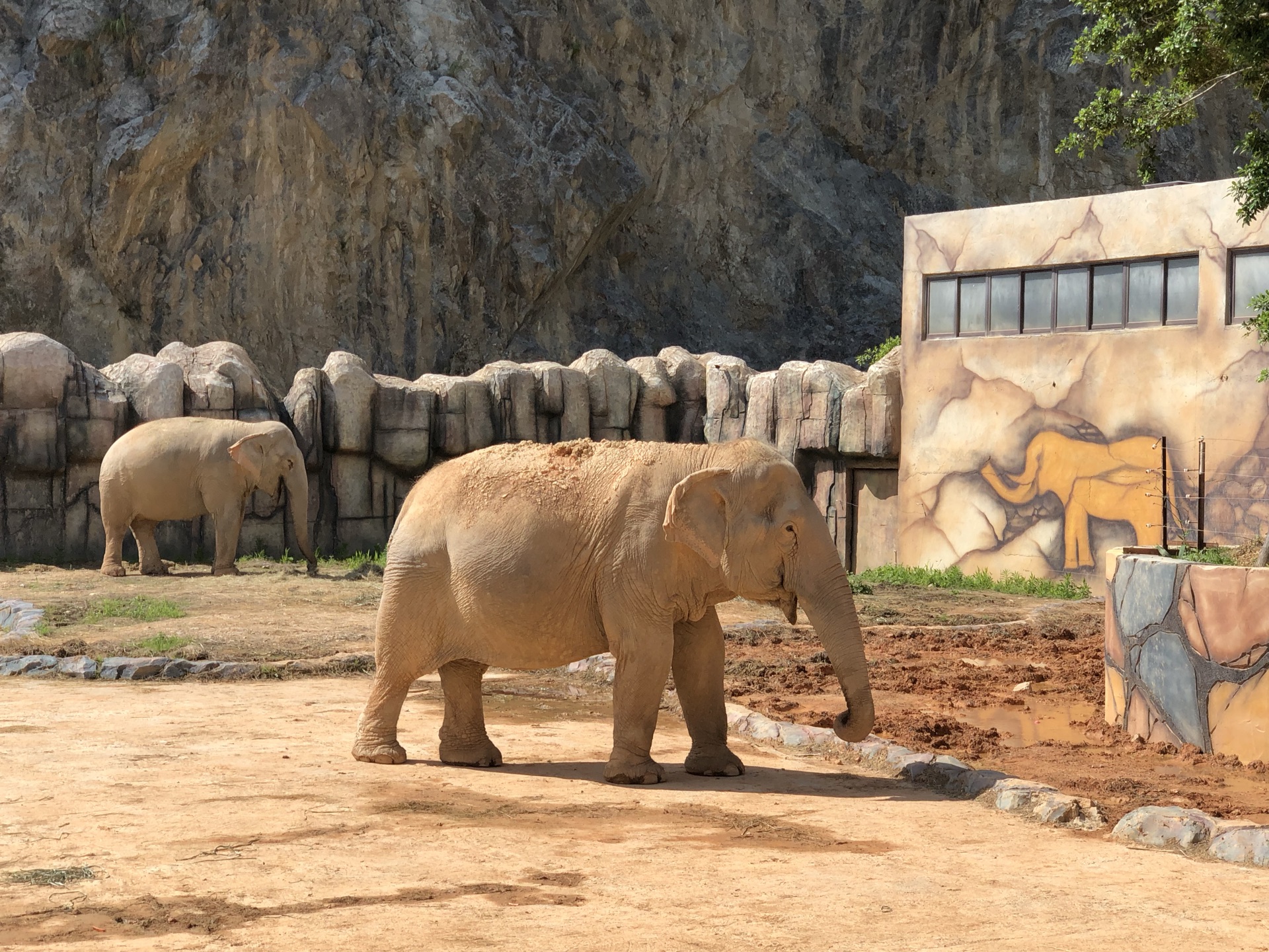 福清永鸿野生动物世界好玩吗,福清永鸿野生动物世界景点怎么样_点评