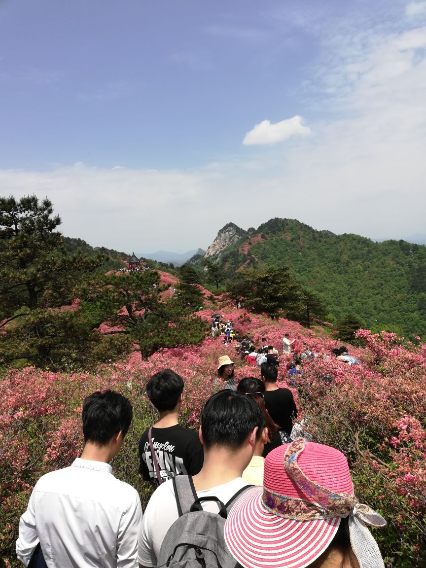 麻城龟峰山好玩吗,麻城龟峰山景点怎么样_点评_评价【携程攻略】