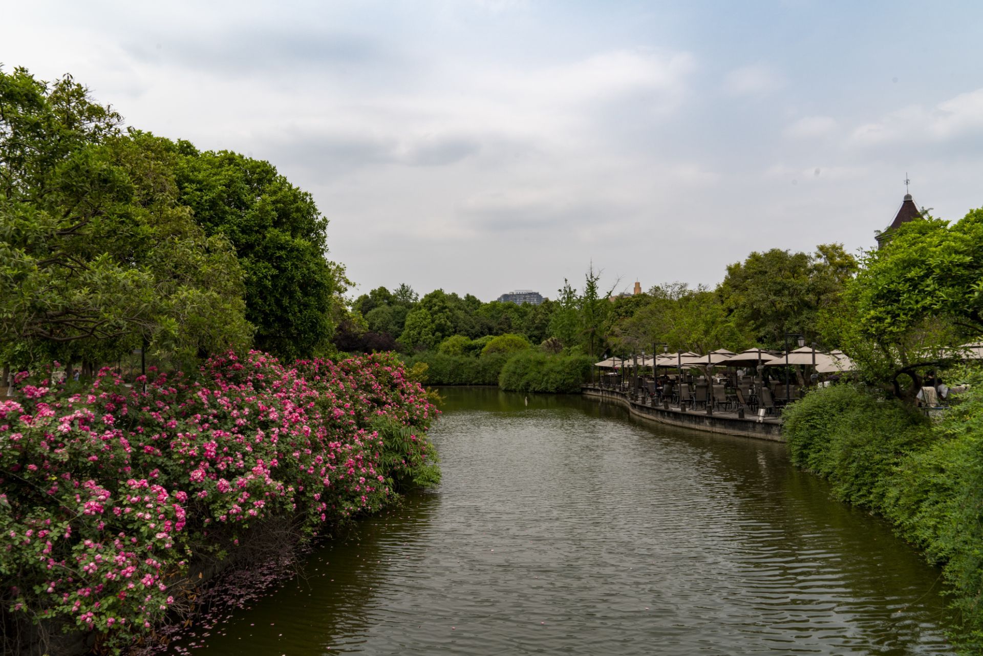 【攜程攻略】成都南湖公園景點,非常喜歡南湖公園,都給多位朋友推薦了