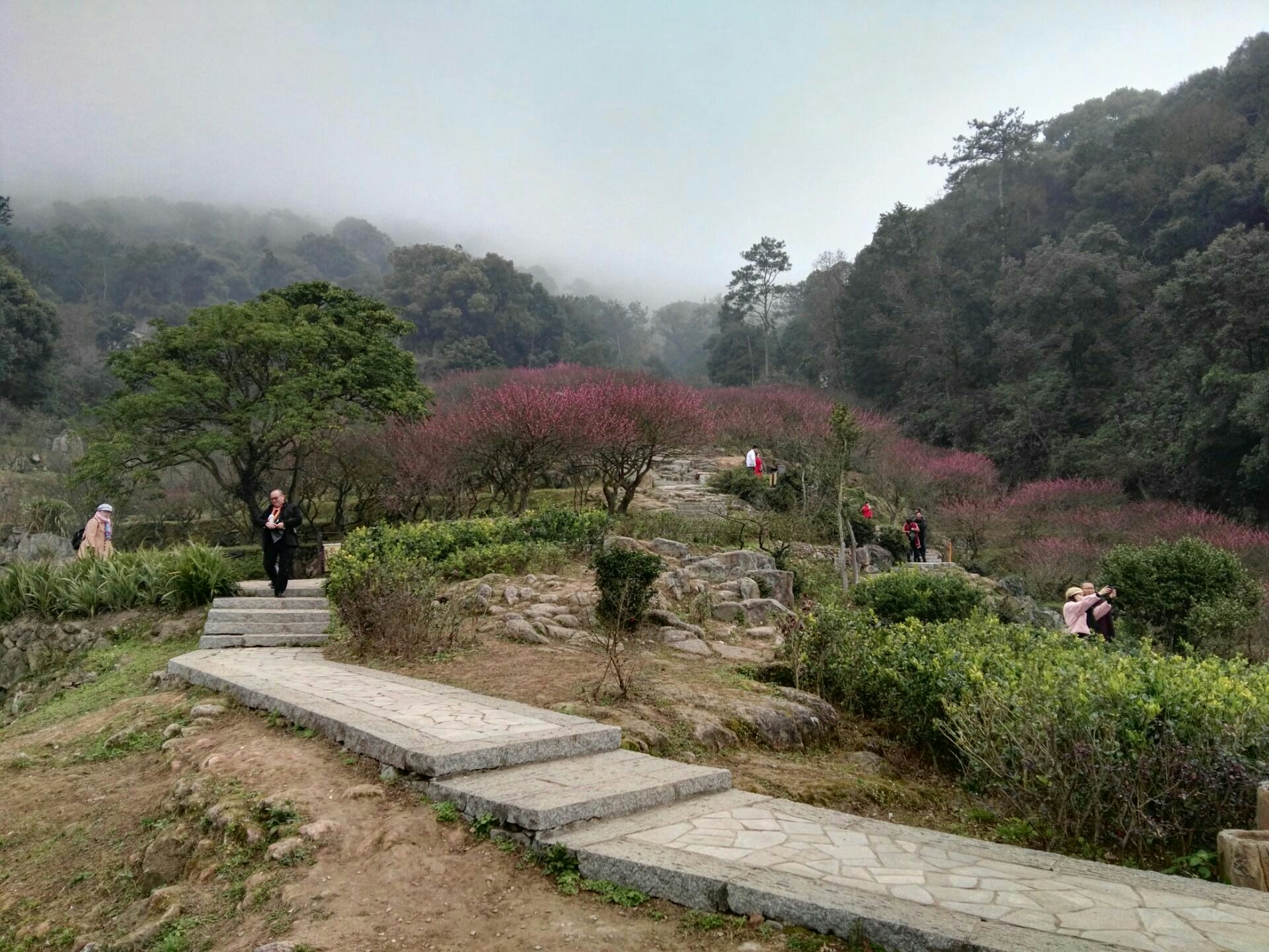 目的地 鼓山 福州市最佳旅遊景點.